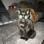 Profile Picture of Robin (@robin.wilson.7505) on Instagram