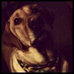 Profile Picture of Brian Farmer (@thedirtybirdman) on Instagram