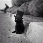 Profile Picture of Thomas Spiggle (@thomasspiggle) on Instagram