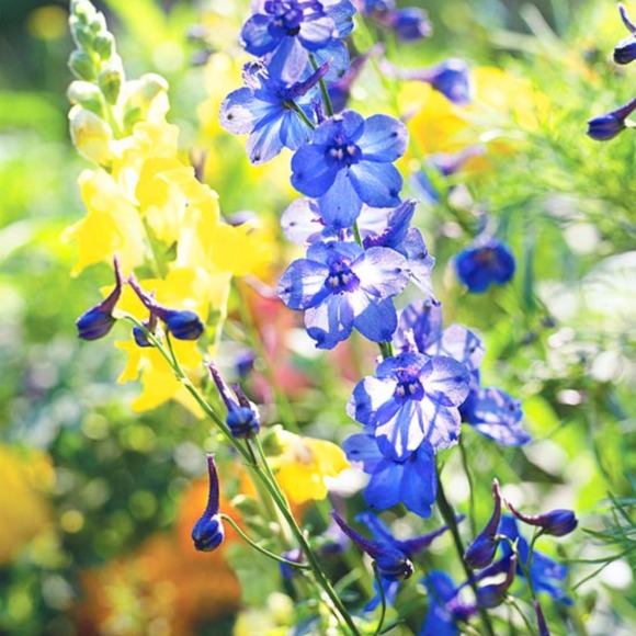 Profile Picture of Ben Falk (@microposh93) on Poshmark