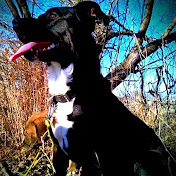 Profile Picture of Joshua Willoughby (@joshuaalangroves91) on Youtube