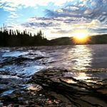 Profile Picture of Cindy Vincent (@cindyvincentart) on Instagram