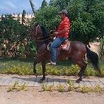 Profile Picture of Luis Evelio Quintero Echavez (@quinteroechavez) on Instagram