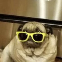 Profile Picture of Michael Baroli (@michael-baroli) on Quora