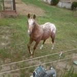 Profile Picture of David Wyrick (@wyrickdavid) on Instagram