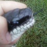 Profile Picture of Eric Hanner (@eric_hanner) on Instagram