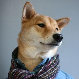 Profile Picture of Andrew Blakesley (@buttman2386) on Twitter