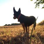 Profile Picture of Crystal Raymond (@life_forever_photos) on Instagram