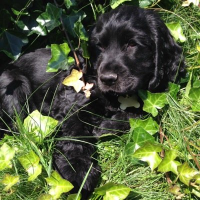 Profile Picture of Lucy Pope (@lucypope22) on Twitter