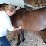 Profile Picture of Sherrill Perry (@fundyequine) on Instagram