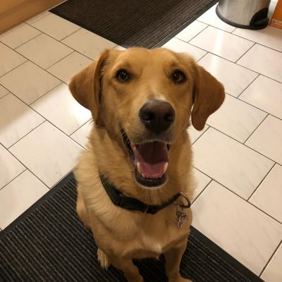 Profile Picture of Robin Renker (@RenkerRobin) on Twitter