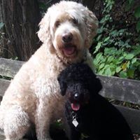 Profile Picture of Christian Bergfeld (@christianbergfeld) on Pinterest