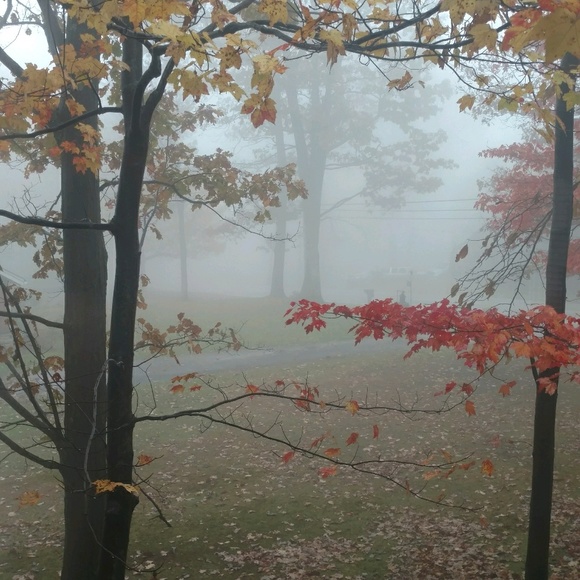 Profile Picture of Erica Rodeheaver (@erodeheaver) on Poshmark