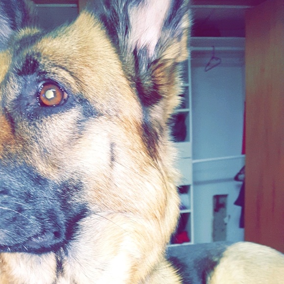 Profile Picture of Tianna Stierwalt (@tiannastierwaly) on Poshmark