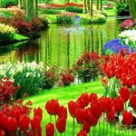 Profile Picture of George mburu (@mburu6226) on Instagram