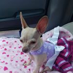 Profile Picture of Myrna Rivas (@myrna_46) on Instagram