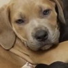 Profile Picture of Danielle Paskow (@@daniellepaskow) on Tiktok