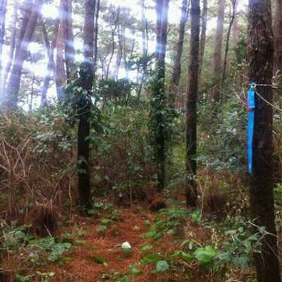 Profile Picture of Kevin (@zonber_stance) on Twitter