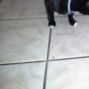 Profile Picture of Doris Jackson (@dorisjackson4472) on Youtube