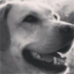 Profile Picture of Hailey (@geddygirl55) on Instagram