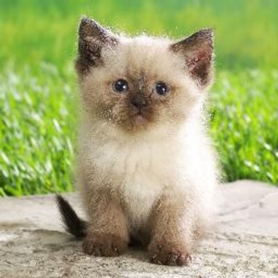 Profile Picture of JamesWenzel4239 (@wenzel35) on Twitter