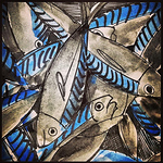 Profile Picture of Tracy Nicholas (@tracynicholasfishart) on Flickr