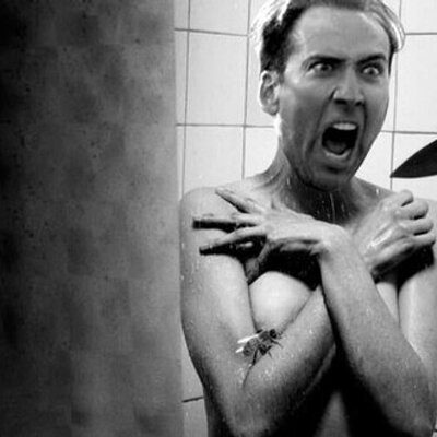 Profile Picture of Ector Hernandez (@Cagetrain444) on Twitter