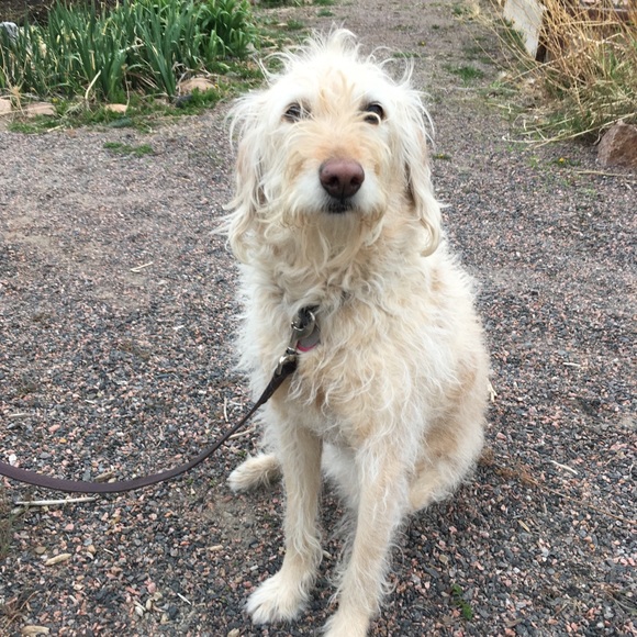 Profile Picture of Kathryn Ehlmann (@klwphoriaaa) on Poshmark