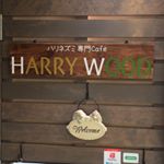 Profile Picture of ハリネズミ専門カフェ HARRY WOOD なんば店 (@harrywoodnamba) on Instagram