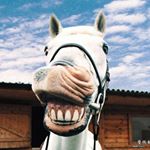 Profile Picture of Mr. Ed (@ed_collazo) on Instagram