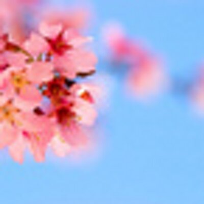 Profile Picture of Kimberly J Curtis (@curtiskj) on Twitter