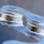 Profile Picture of Wownac (@wownac) on Flickr