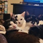 Profile Picture of Jesse Onate (@onatejesse) on Instagram