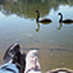 Profile Picture of Debora Helena De Rezende Rodrigues (@debora helena) on Flickr