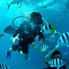 Profile Picture of Clark Huang (@@2165080223) on Tiktok