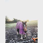 Profile Picture of Amelia Hawkins (@am3lia_ox) on Instagram