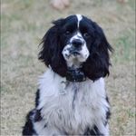 Profile Picture of Jeff Kahabka (@jkjohnnykracker) on Instagram