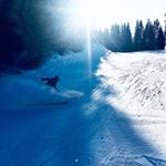 Profile Picture of Joel (@_joel_fischer) on Instagram