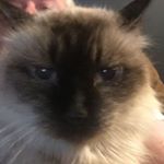 Profile Picture of Randy Conway (@conway.randy) on Instagram