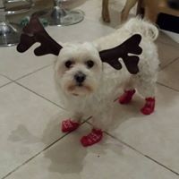 Profile Picture of Lisa Michalowicz (@lisa-michalowicz) on Quora