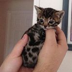 Profile Picture of Octavia Hunter (@octavia.hunter.98) on Facebook