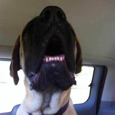 Profile Picture of Joseph McReynolds (@josephmc75) on Twitter