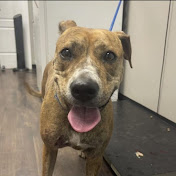 Profile Picture of Iris Woods (@Pretty.iris15) on Youtube