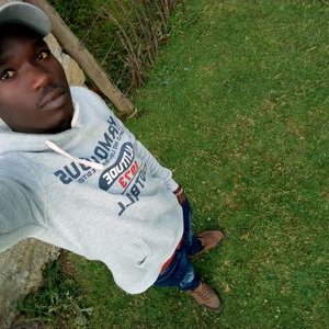 Profile Picture of Steve Sigal (@Stevesigal1) on Twitter