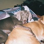 Profile Picture of Kim Bowser (@ladycuda73) on Instagram