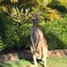 Profile Picture of Michelle Dunstan (@michelledunstan738) on Pinterest