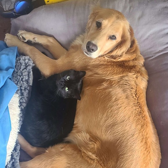 Profile Picture of Kim Gillen (@nubushack) on Poshmark