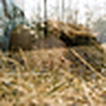 Profile Picture of Julie Rae Powers (@julieraepowersphoto) on Flickr