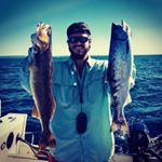 Profile Picture of Pat Walsh (@patwalshington) on Instagram