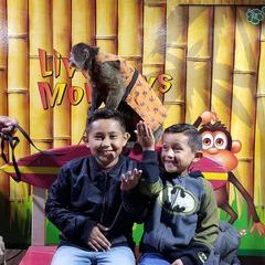 Profile Picture of Abel Lugo (@abel4939) on Tiktok